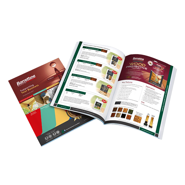 Mẫu catalogue giới thiệu sản phẩm